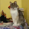 Отзыв от Динара Мещерякова
